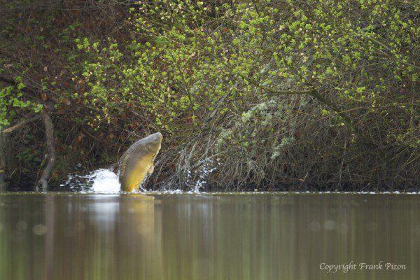 buza stufului.... :) - 5815304342141266733651856296598n.jpg